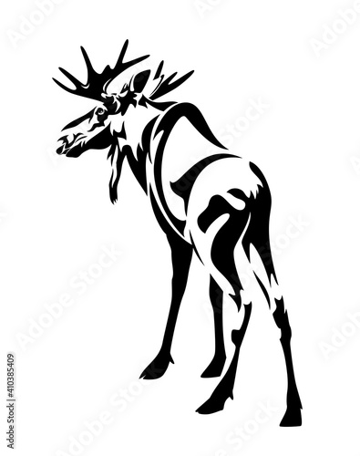 standing moose bull black and white outline - wild elk vector monochrome design