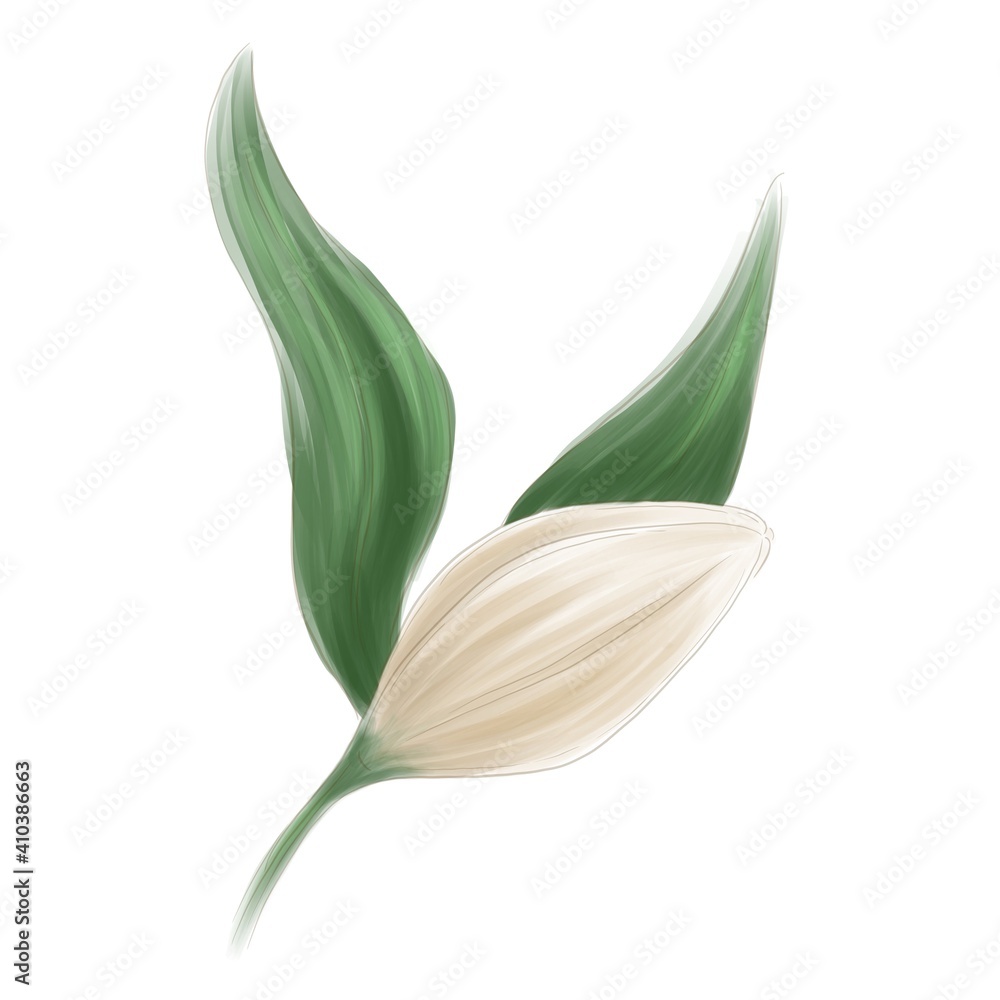 Fototapeta premium Three flowers of the golden lily