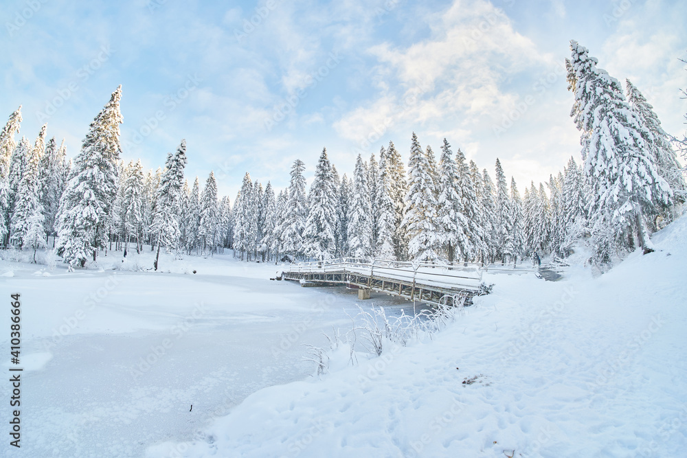 frozen river. snowy beautiful winter