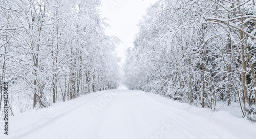 The road in the forest. Winter