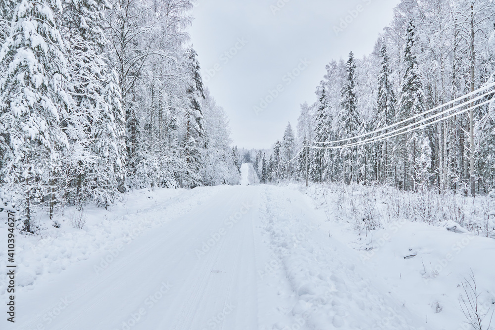 road in the forest. winter