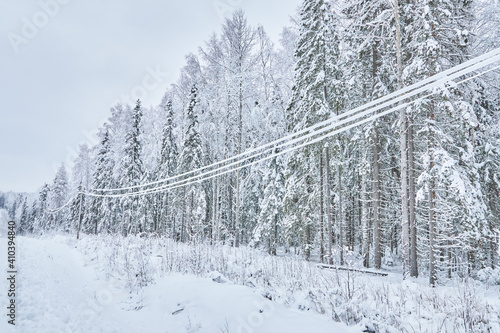 cold winter power line poles
