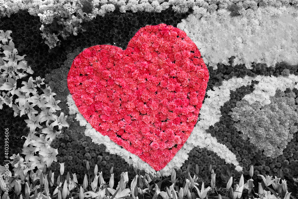 Heart flowers in black and white background Heart flowers in black and white background