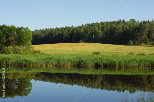 Natural landscape of Belarus. Reflection of blue sky in calm river water. Meadow and forest in the background.