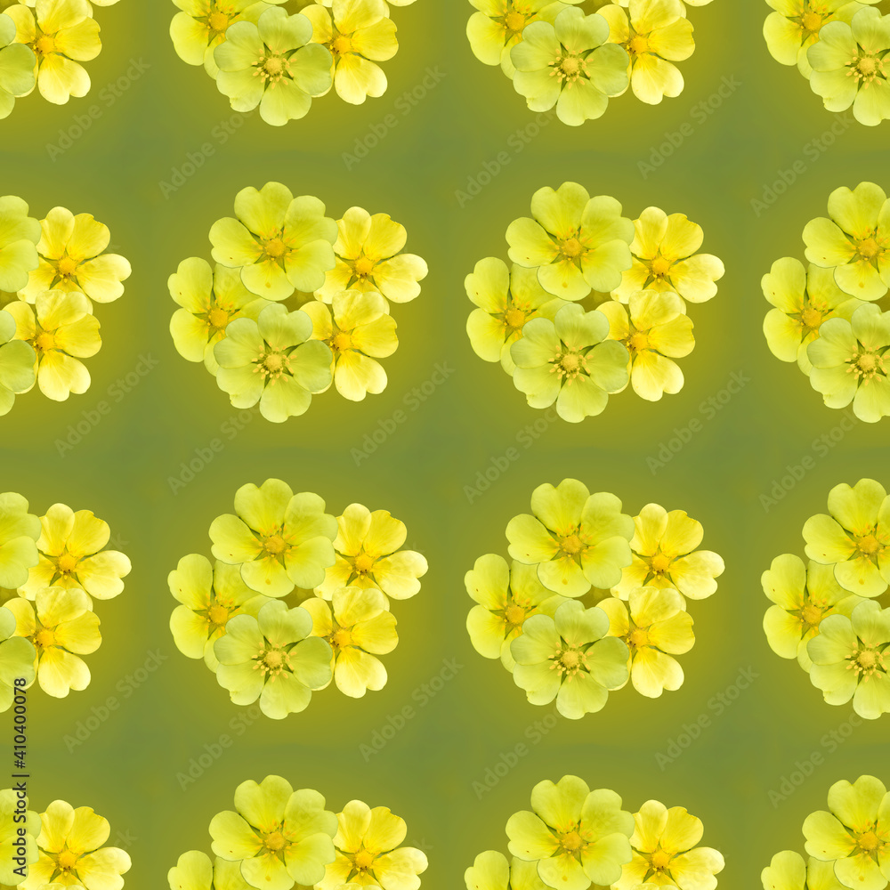 Fototapeta premium Seamless pattern spring flower composition, yellow colored flowers.