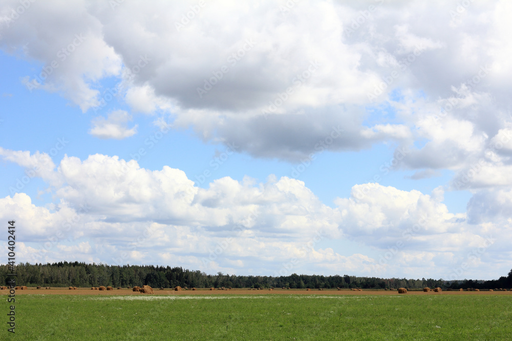 sky with clouds, green meadow and round haystacks on the background of the forest. summer rural landscape sky with clouds, green meadow and round haystacks on the background of the forest. summer rural landscape