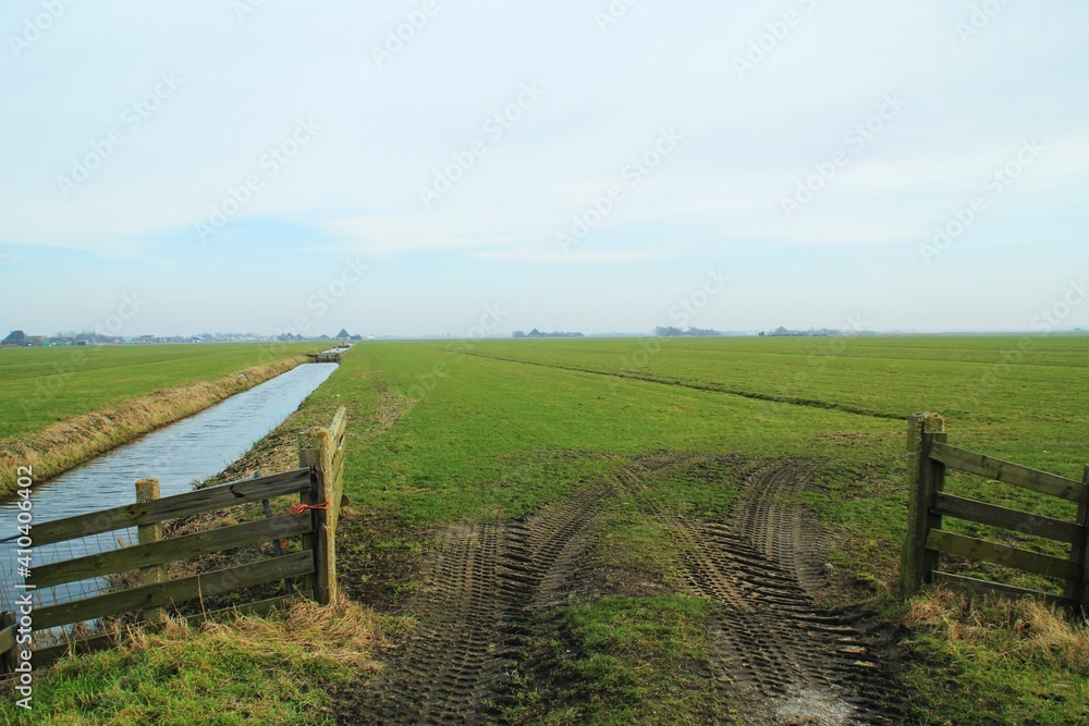 dutch fields
