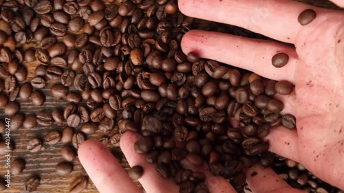 COFFEE & BEANS