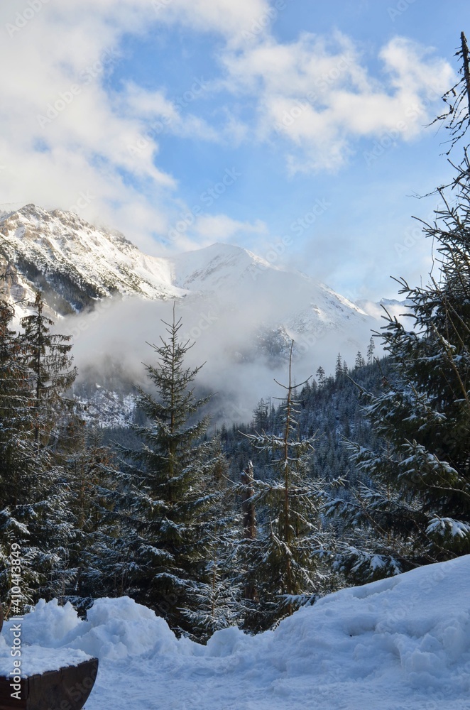 Winter spruces forest misty Tatra mountains and cloudy sky