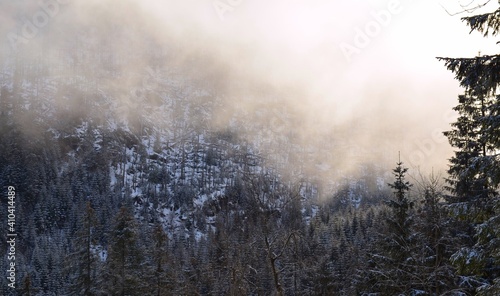 Winter morning mist in the tatra mountains