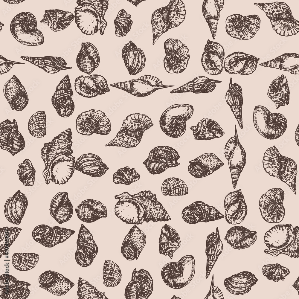Seamless pattern of sketches various seashells Seamless pattern of sketches various seashells