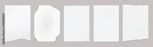 White torn, lined and blank note, notebook paper are on grey background for text, advertising or design. Vector illustration