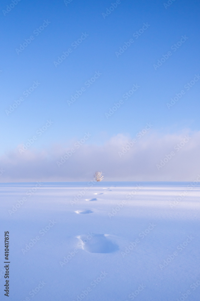 Winter Wonderland with blue sky and clouds and footprints in deep snow