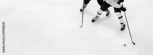 Photography Professional ice hockey player on the ice