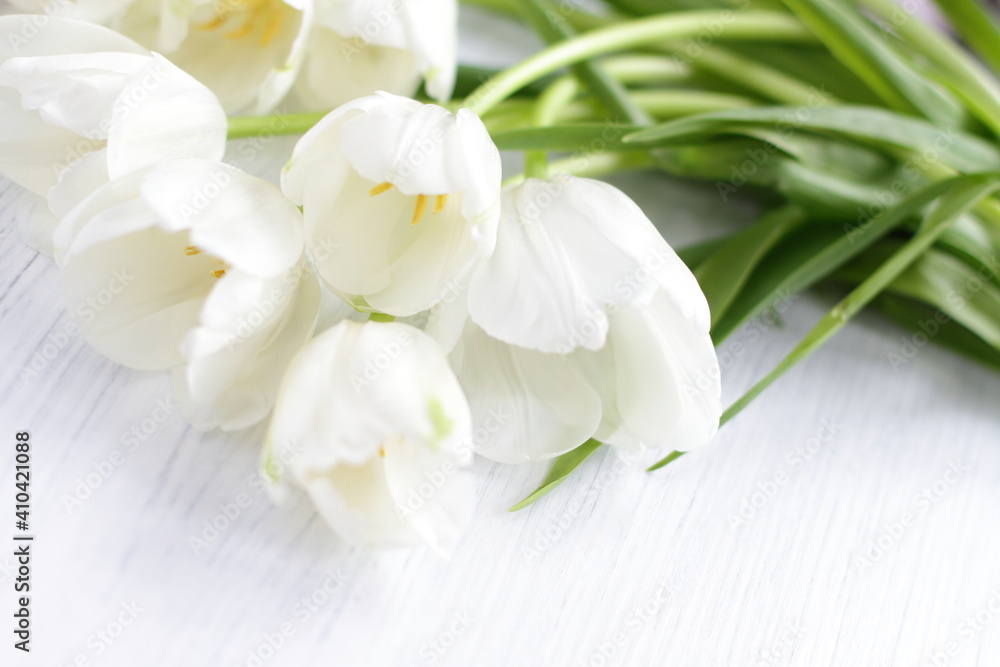 White fresh tulips on wooden background, nice tender spring flowers on wood texture, tulip bouquet frame, 8 March, Valentine, mother day birthday wedding gift 