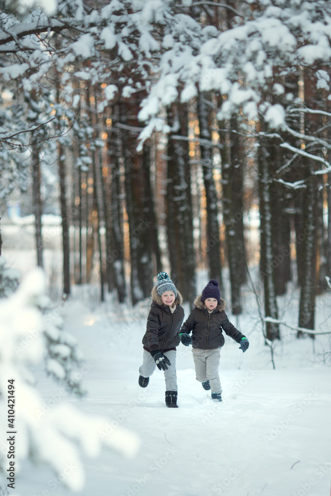 Two boys are playing snowballs in the winter forest. Winter holidays