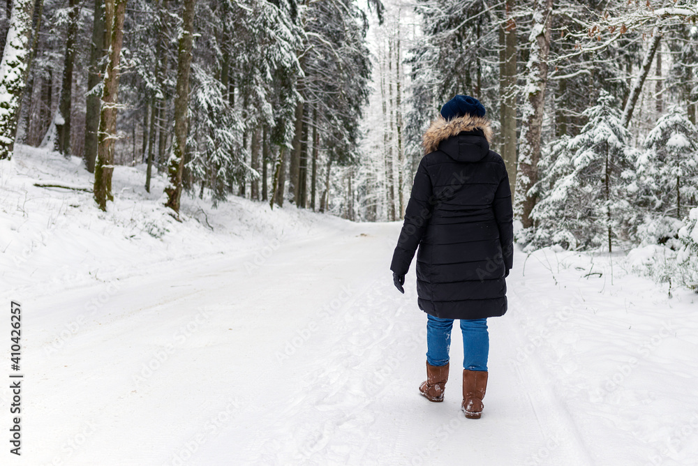 Woman walking on a winter forest park,back view. outdoors shot. Woman walking on a winter forest park,back view. outdoors shot.