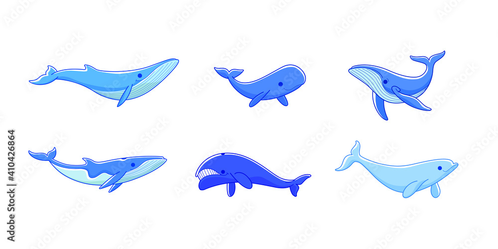 Obraz premium Cartoon whale sketch line icon. Different type of whale - sperm whale, blue whale, humpback whale, polar whale, beluga.