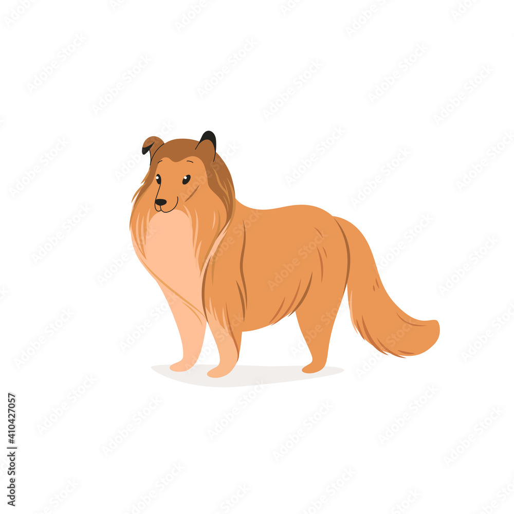 Obraz premium Сollie dog. Cute dog character. Vector illustration in cartoon style for poster, postcard.