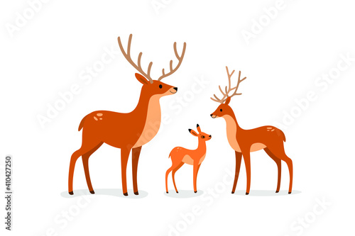 Deer, stag and fawn.  Flat line vector illustration.
