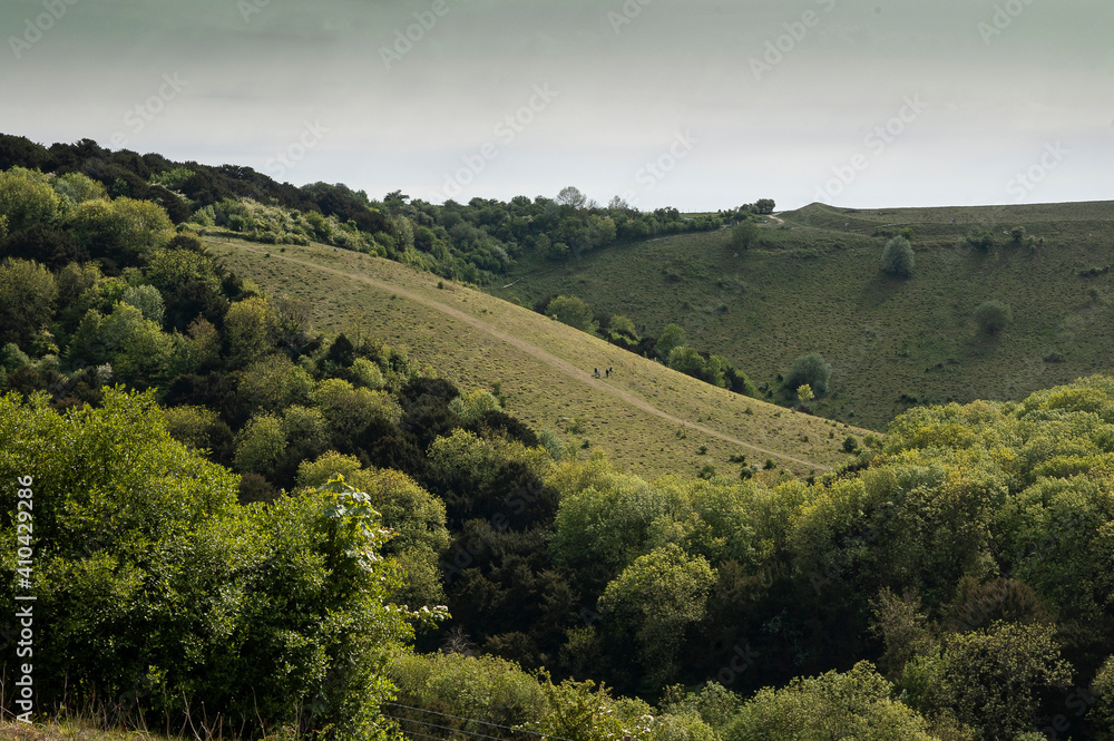 Old Winchester Hill in the South Downs National Park, a Hampshire nature reserve.