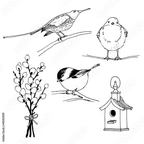 Birds, feeder and willow twig set, hand drawn collection isolated on white background, sunbird, robin, willow tit