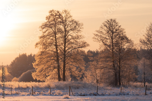 zimowy krajobraz © Michał Kurzątkowski