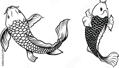 koi fish with isolate and sticker.Japanese koi carp tattoo design.Lucky Chainese animal.
