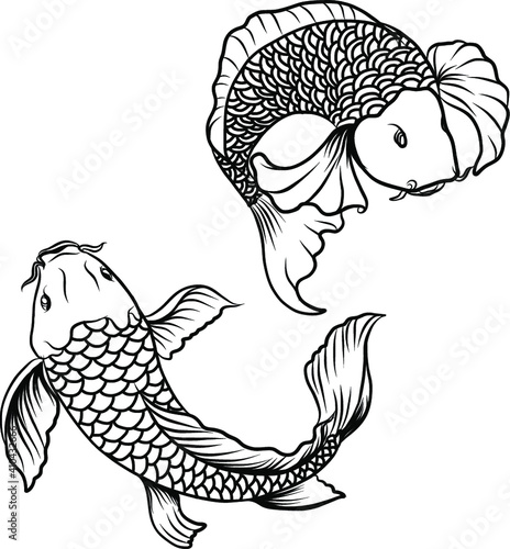 koi fish with isolate and sticker.Japanese koi carp tattoo design.Lucky Chainese animal.