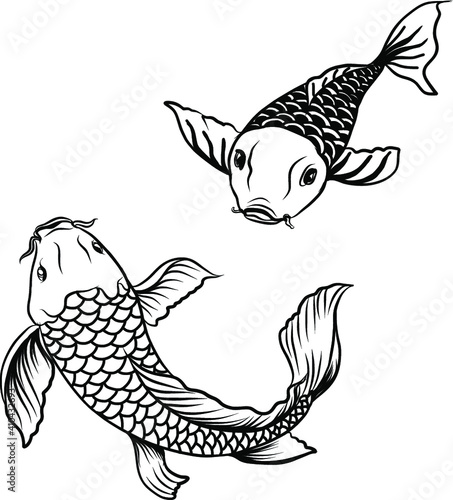 koi fish with isolate and sticker.Japanese koi carp tattoo design.Lucky Chainese animal.