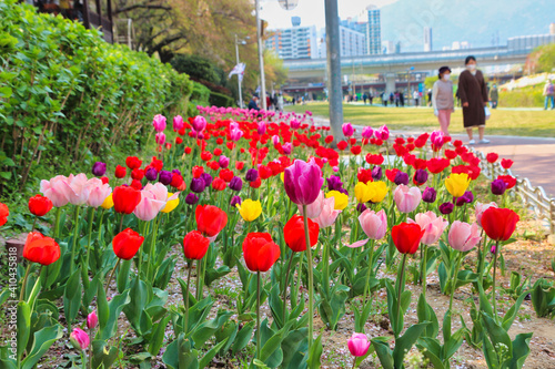 Spring of Oncheoncheon Citizens Park , Busan, South Korea, Asia photo