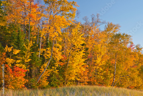 579-77 Lake Superior Autumn Shore