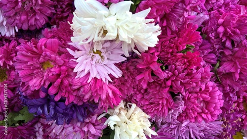 Scenic view of bunch of fresh colorful flowers for multipurpose use