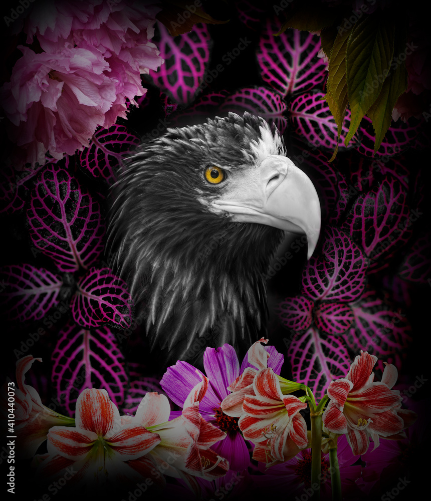Steller's sea eagle and flowers - wallpaper Steller's sea eagle and flowers - wallpaper