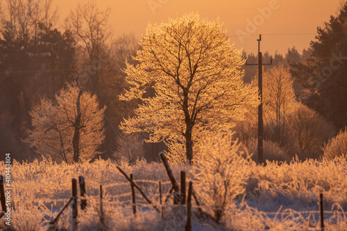 Fototapeta Naklejka Na Ścianę i Meble -  krajobraz