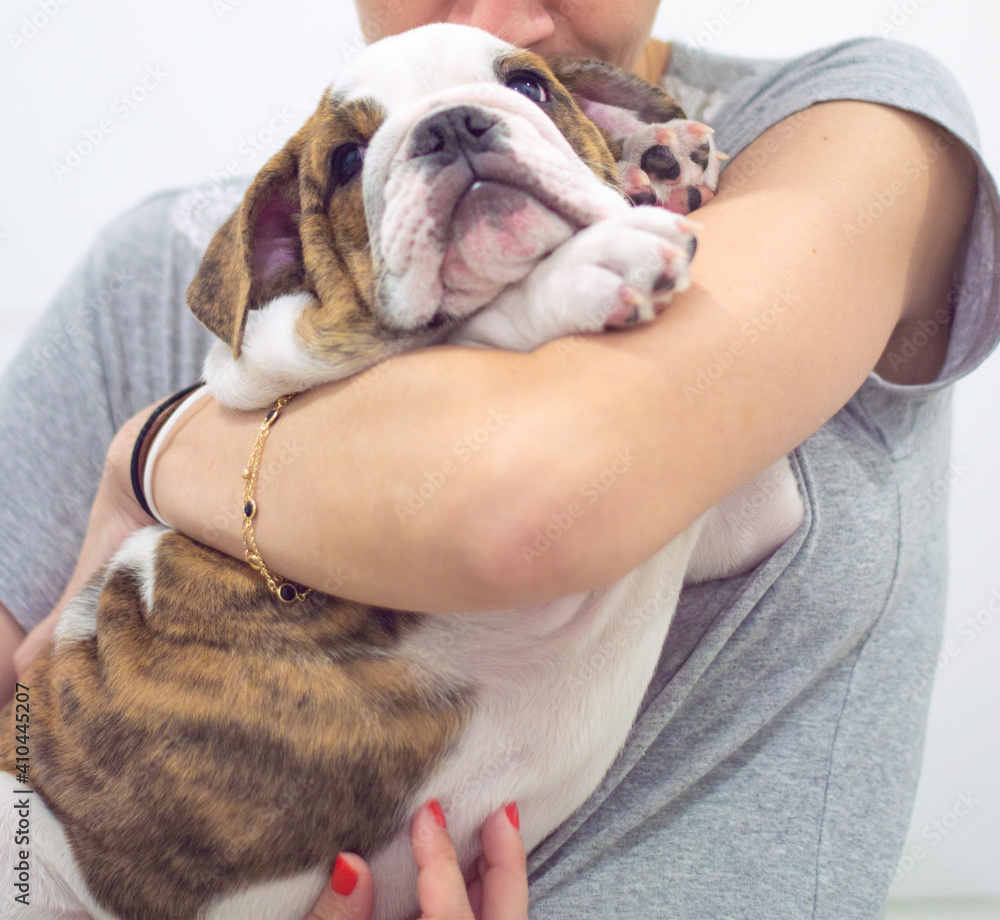 How Long Can A 4 Month Puppy Hold It