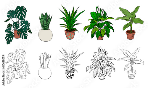 Set of hand drawn house plants in pots. Big set cute of hand drawn house plants in pots including cactus, dracena, aloe and others, and garden tools. Vector collection of doodle plants.