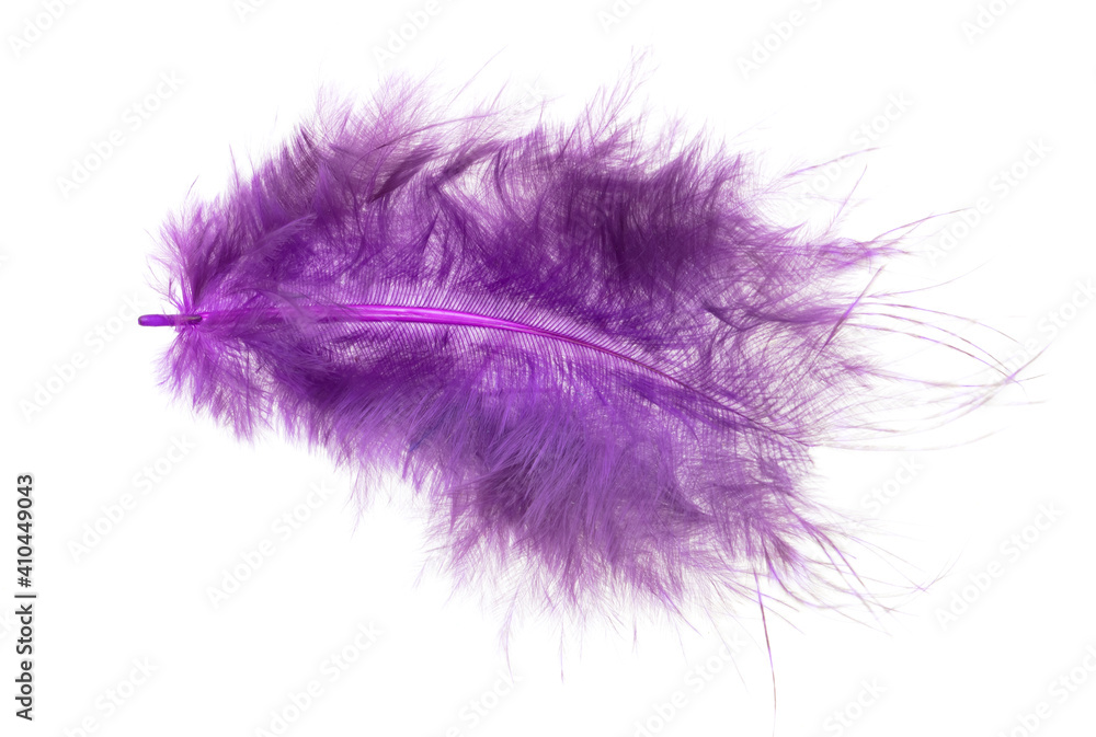 Purple feather isolated on white background. Purple feather isolated on white background.