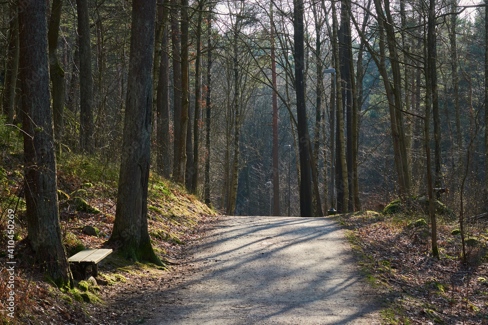 A bench at a gravel road in a forest in a recriation area in sun light A bench at a gravel road in a forest in a recriation area in sun light