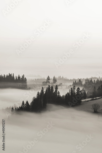 Pienińskie lasy we mgle.