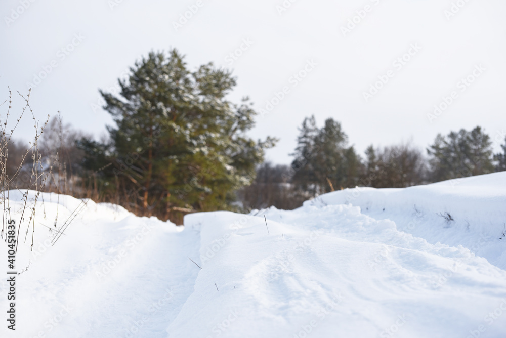 snowy nature in forest,winter photo snowy nature in forest,winter photo