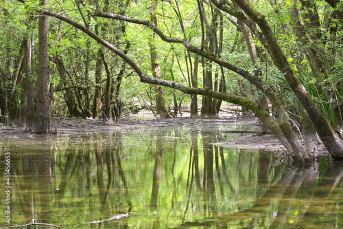 Fototapeta Naklejka Na Ścianę i Meble -  
The marshes of the Po river delta