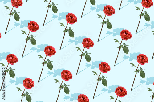 Rose flower minimal pattern. Red flower floral layout with blue background. Red  green and blue minimal creative sunlight pattern