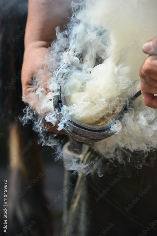 Close up shot of blacksmith at work fitting a metal horseshoe to a horses hoof , the heat from the hot metal causing smoke to rise as the hoof burns.