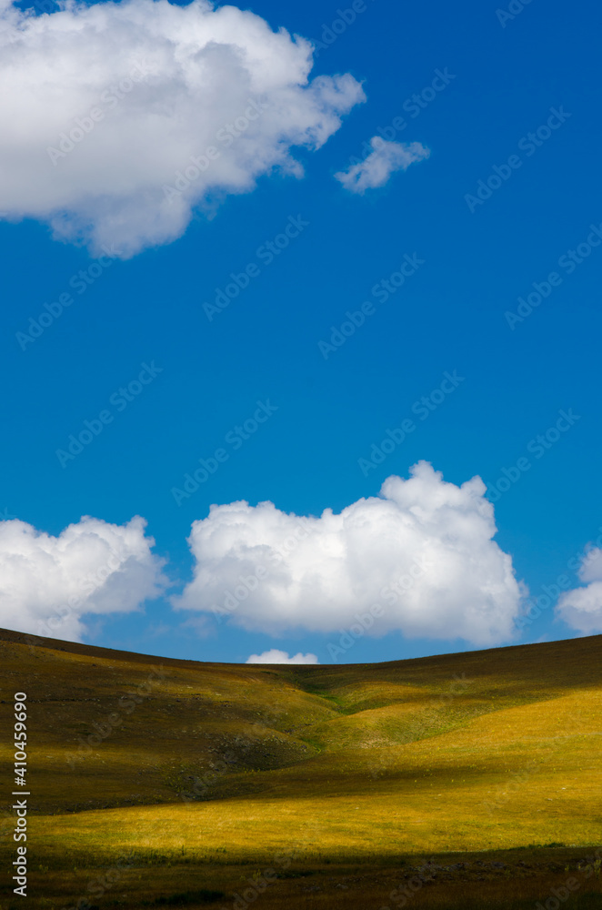 Fototapeta premium wallpaper from nature