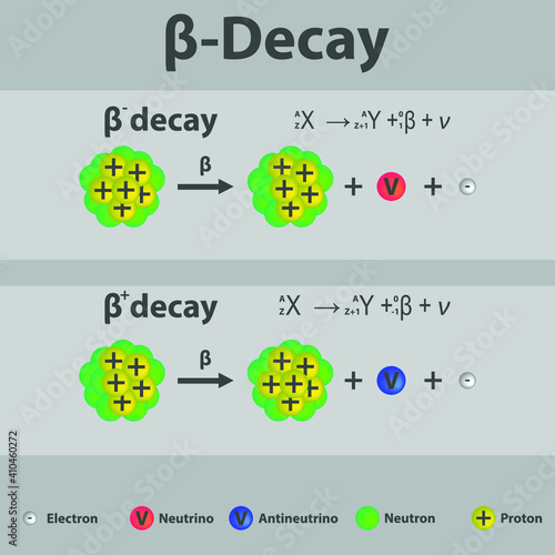 Beta plus and Beta minus Decay of carbon infographic with equation. Formation of new element by a change in number of protons in nucleus.