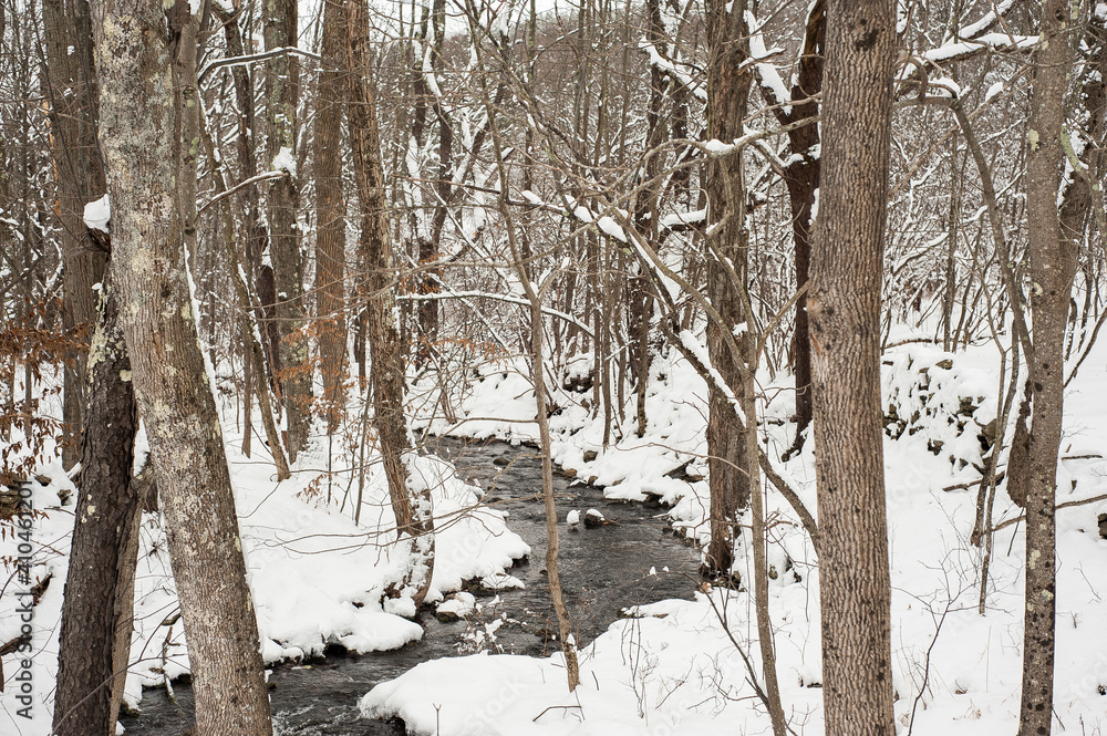 Fototapeta premium Winter River 1