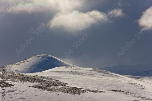 Dog sled searching for Musk Oxen in Dovrefjell National Park. Norway. Europe