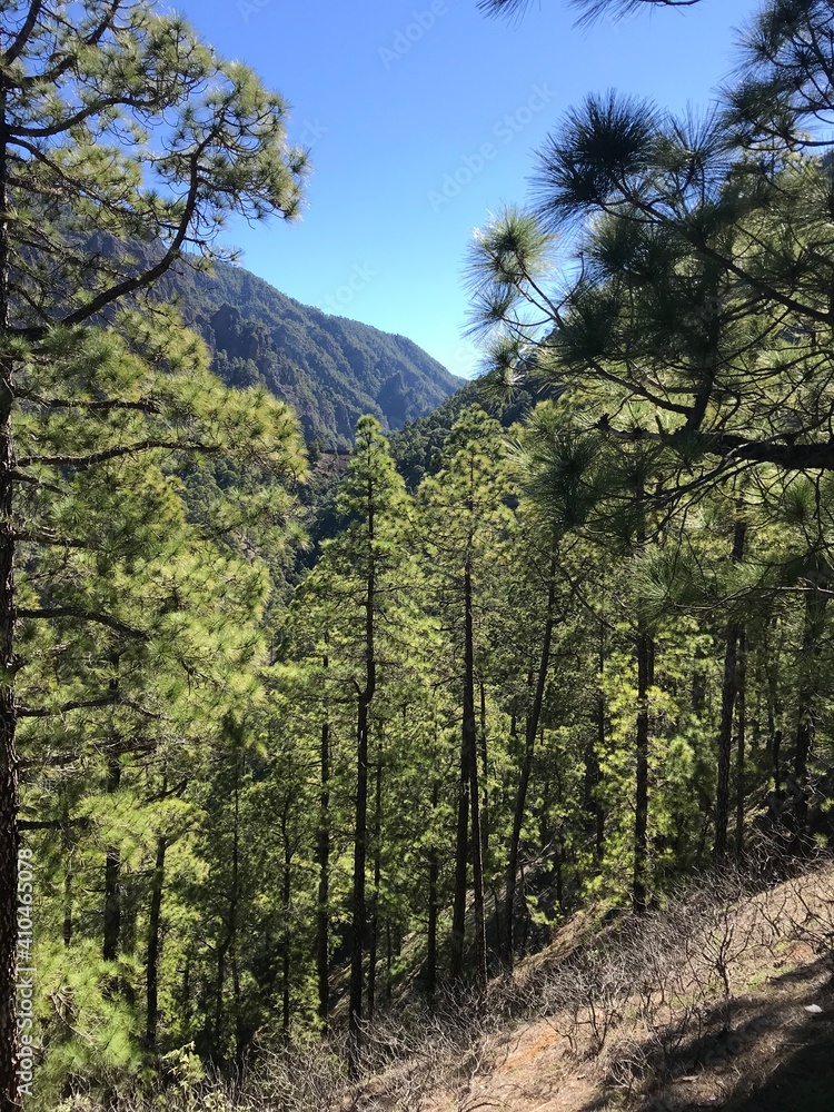 Amazing caldera de Taburiente in La Palma island. Canary Islands, Spain. Hiking in the national park. Amazing caldera de Taburiente in La Palma island. Canary Islands, Spain. Hiking in the national park.