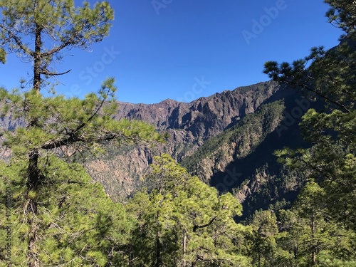 Amazing caldera de Taburiente and pine forest in La Palma island. Canary Islands, Spain. Hiking in the national park.